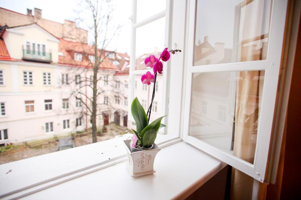 Skapo Apartments VNO Eksteriør billede